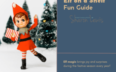 Elf on a Shelf Fun Guide