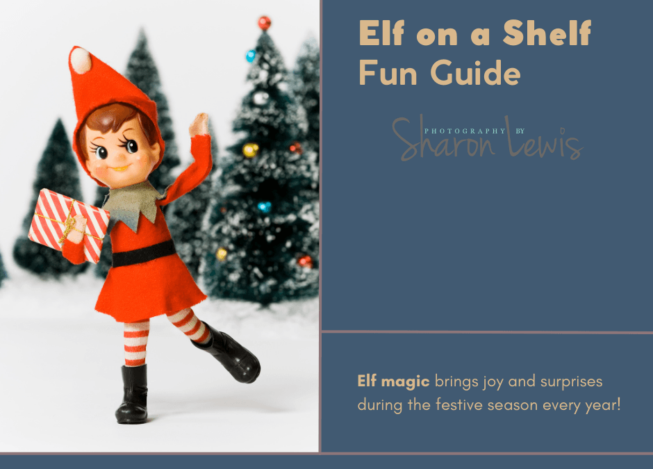 Elf on a Shelf Fun Guide