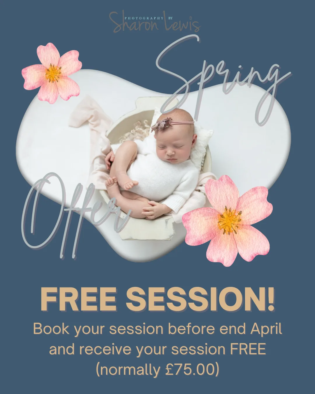 Newborn photoshoot Spring offer, free session